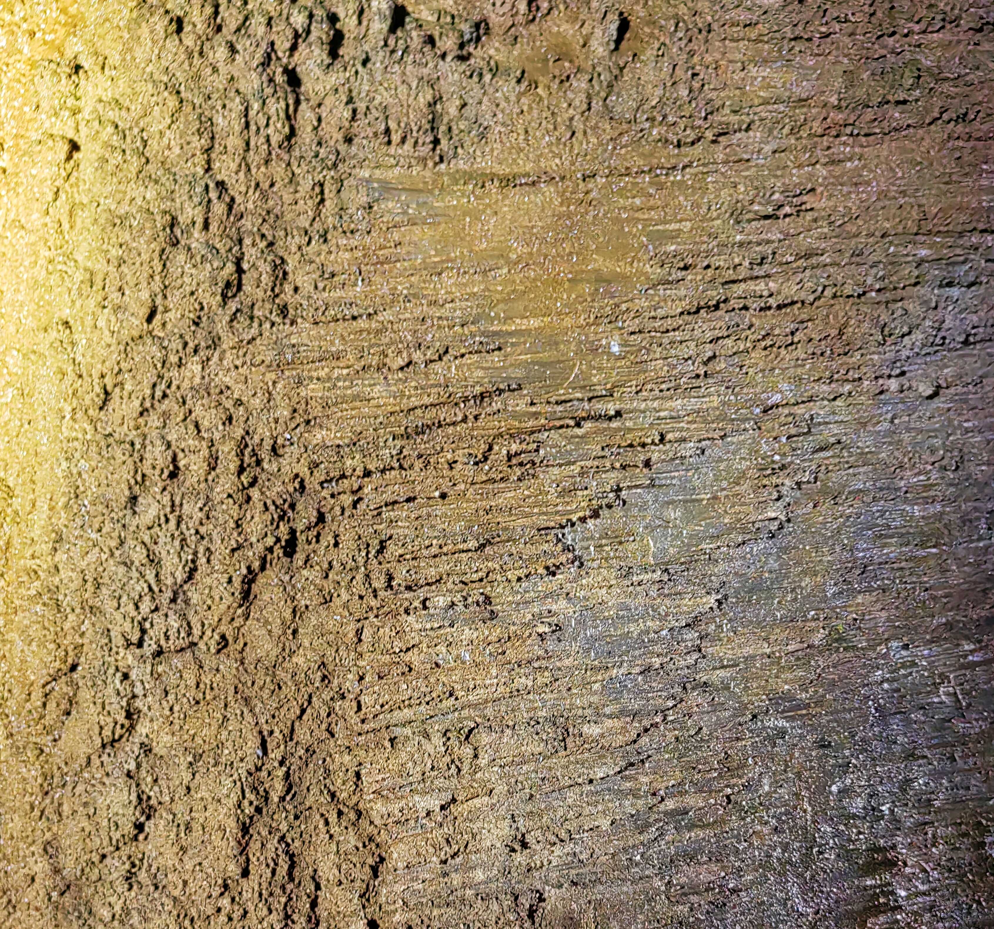 向着光 生命的岩溶 (原稿,图片摆布无方向性)2.jpg_副本.jpg