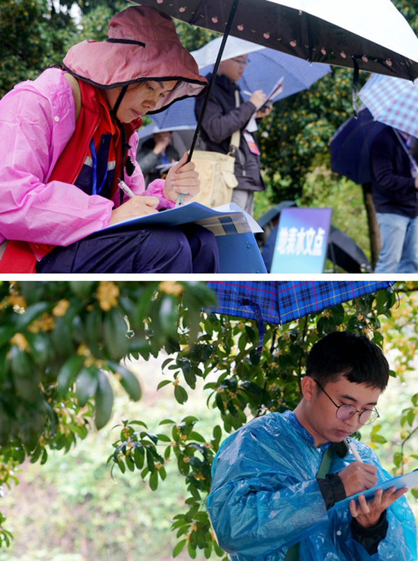 8队员们冒雨俯身答题,专注的眼神、紧绷的神情,尽显精益求精的工匠精神(张文浩 摄).jpg